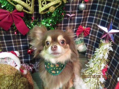 ファイル 5765-1.jpg