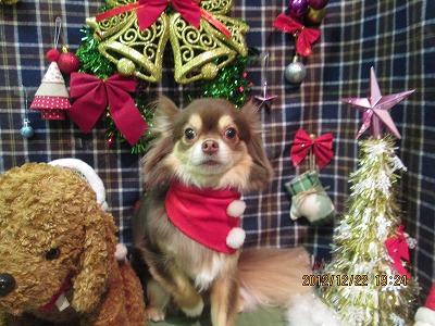 ファイル 5765-2.jpg