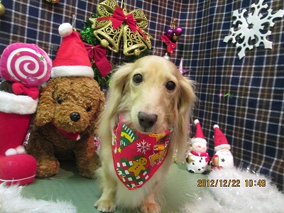 ファイル 5766-1.jpg