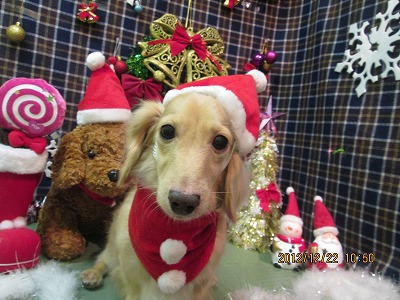 ファイル 5766-2.jpg