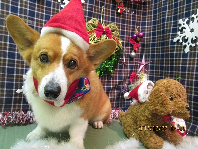 ファイル 5767-1.jpg