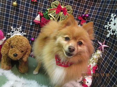 ファイル 5768-2.jpg