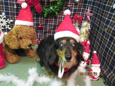 ファイル 5769-1.jpg