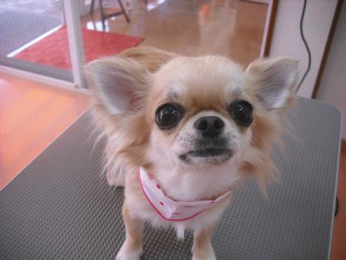 ファイル 577-1.jpg