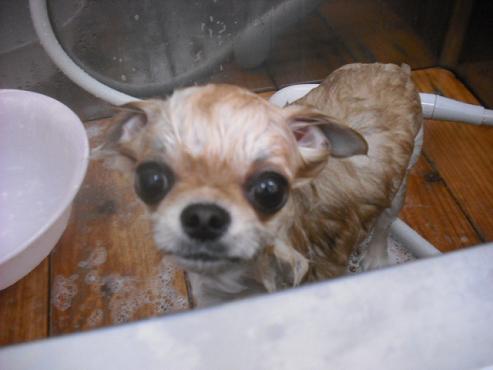 ファイル 577-2.jpg