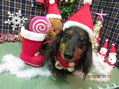 ファイル 5770-1.jpg