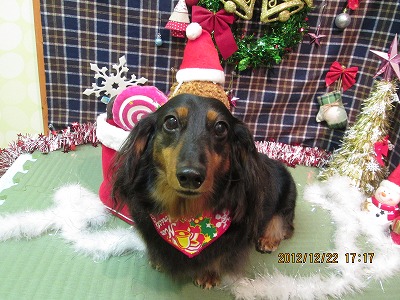 ファイル 5770-2.jpg