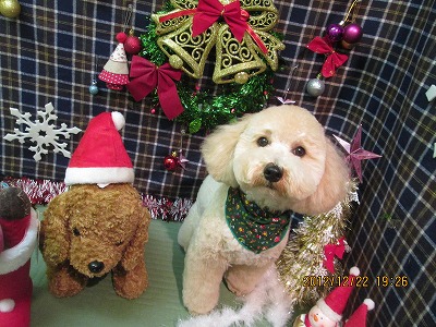 ファイル 5771-2.jpg