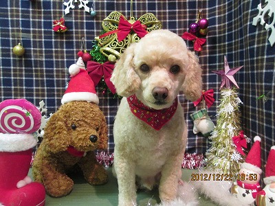 ファイル 5772-1.jpg