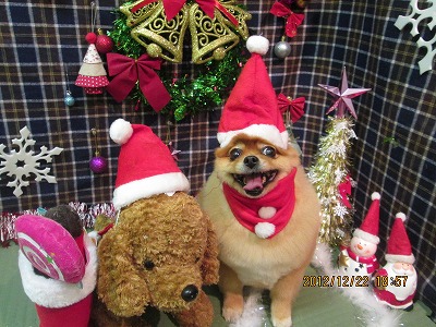 ファイル 5775-2.jpg