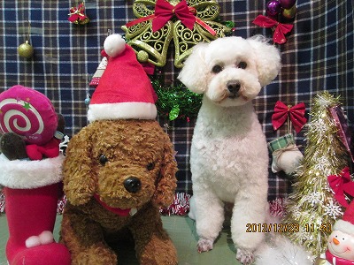 ファイル 5776-1.jpg