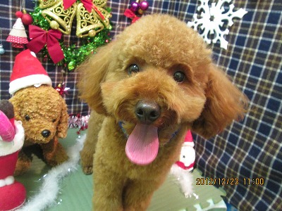 ファイル 5779-2.jpg