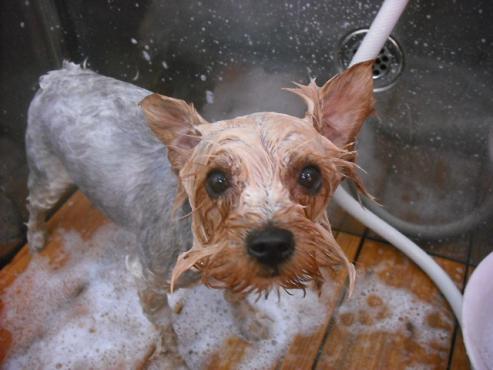 ファイル 578-2.jpg