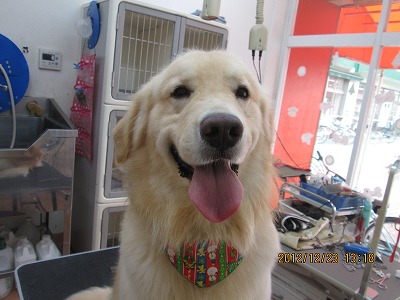 ファイル 5780-2.jpg