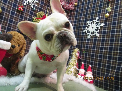 ファイル 5781-2.jpg