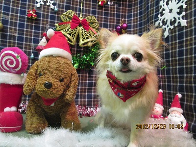 ファイル 5782-2.jpg