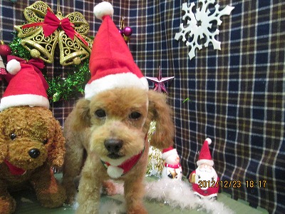 ファイル 5783-2.jpg