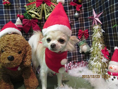 ファイル 5784-1.jpg