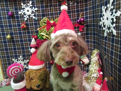 ファイル 5785-1.jpg