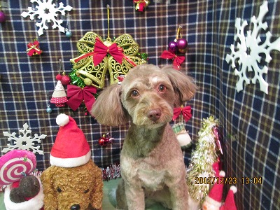 ファイル 5785-2.jpg