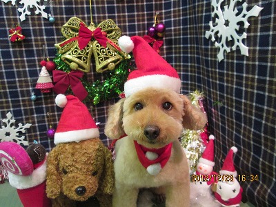 ファイル 5786-2.jpg