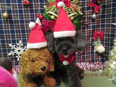 ファイル 5787-1.jpg