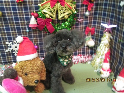 ファイル 5787-2.jpg