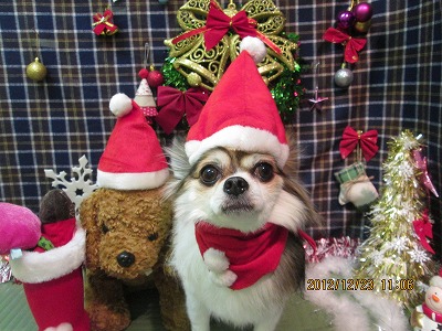 ファイル 5788-1.jpg