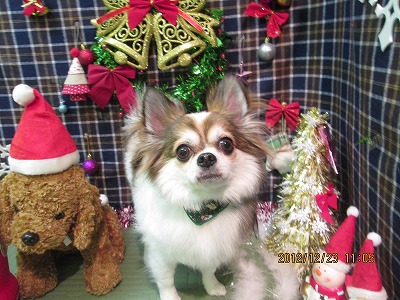 ファイル 5788-2.jpg