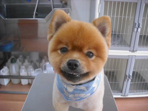 ファイル 579-1.jpg