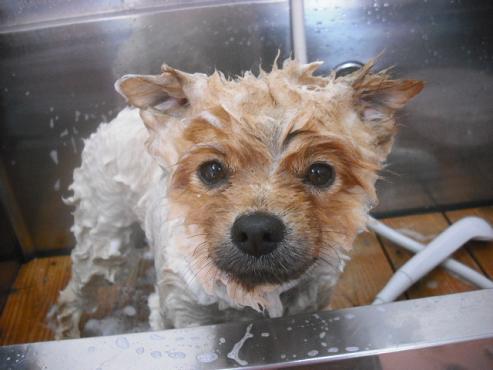 ファイル 579-2.jpg