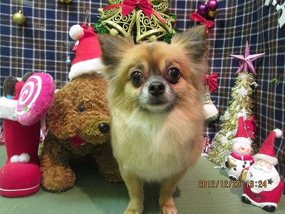 ファイル 5790-1.jpg