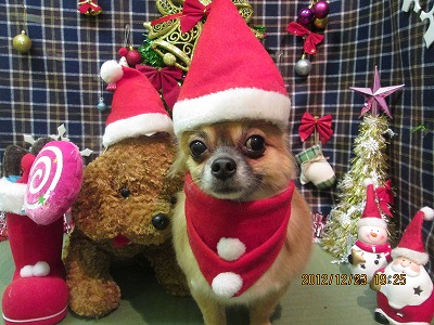 ファイル 5790-2.jpg