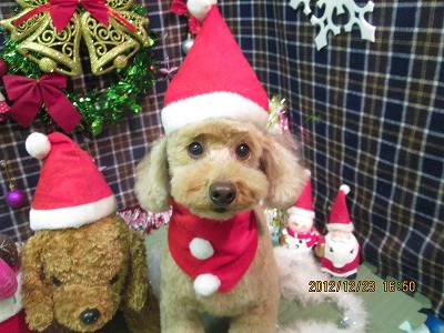 ファイル 5791-2.jpg