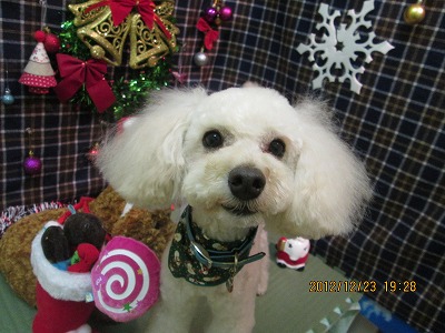 ファイル 5792-1.jpg