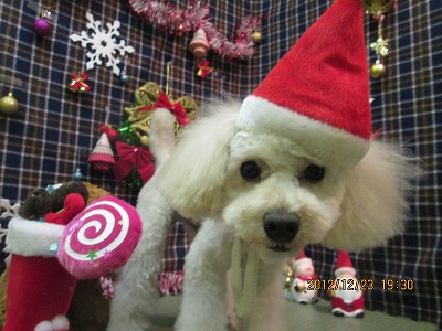 ファイル 5792-2.jpg