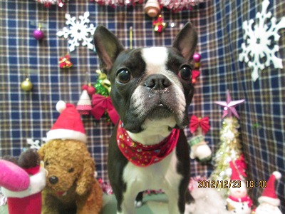 ファイル 5793-1.jpg