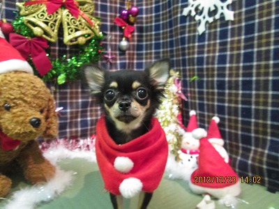 ファイル 5794-1.jpg