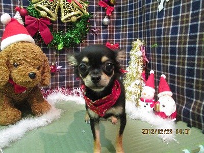 ファイル 5794-2.jpg