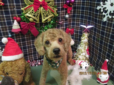 ファイル 5795-1.jpg