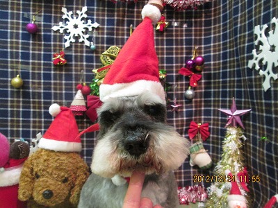 ファイル 5796-2.jpg