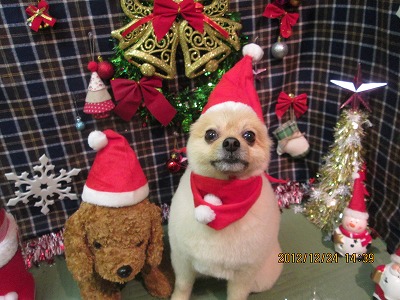 ファイル 5797-1.jpg