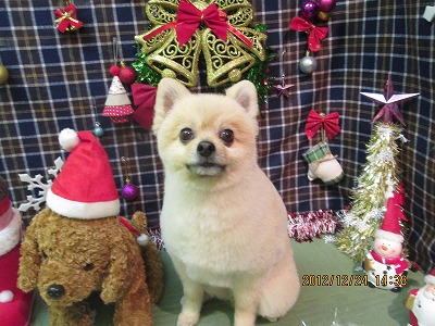 ファイル 5797-2.jpg