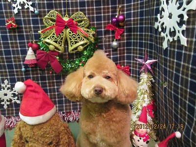 ファイル 5798-1.jpg