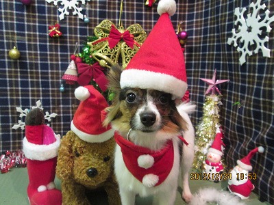 ファイル 5799-1.jpg