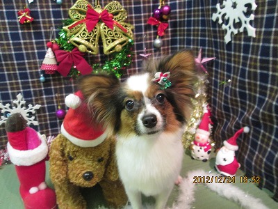 ファイル 5799-2.jpg