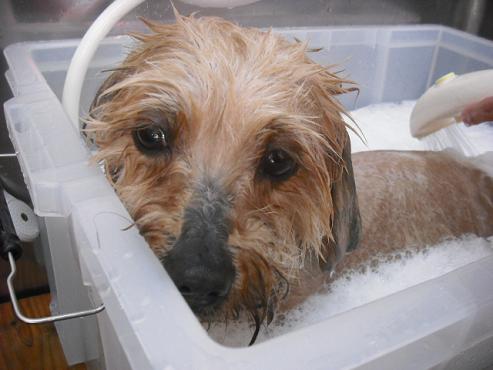 ファイル 58-2.jpg