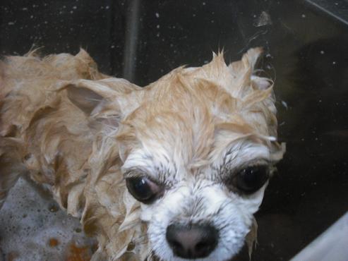 ファイル 580-2.jpg