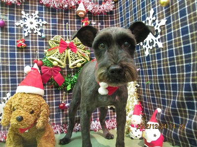 ファイル 5800-2.jpg