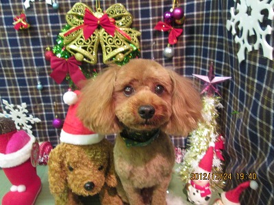 ファイル 5801-1.jpg